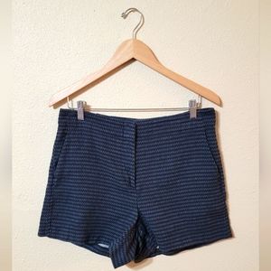 LOFT Curvy High Waist Black & White Shorts